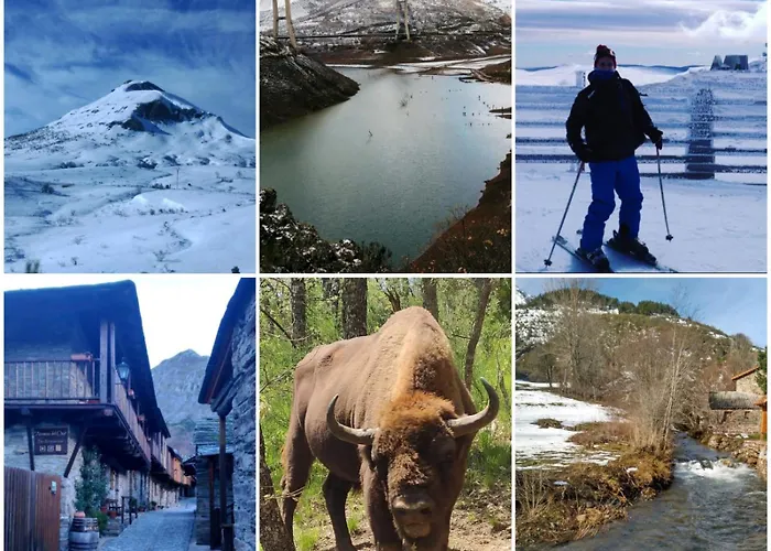 Terra Denis Apartment